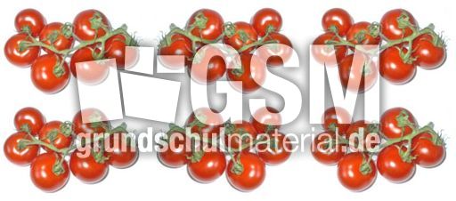 Tomaten-6x7B.jpg